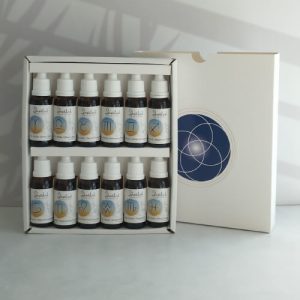 Caja botiquín con los doce frascos de dilución botiquín de eje ancla