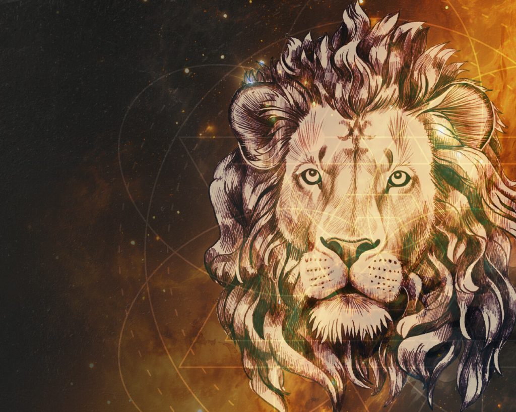 Blog LEO, LA FUERZA DEL CORAZÓN