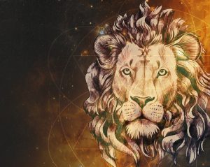 Blog LEO, LA FUERZA DEL CORAZÓN