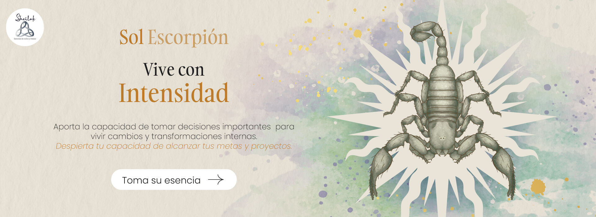 banner_web_sol escorpio