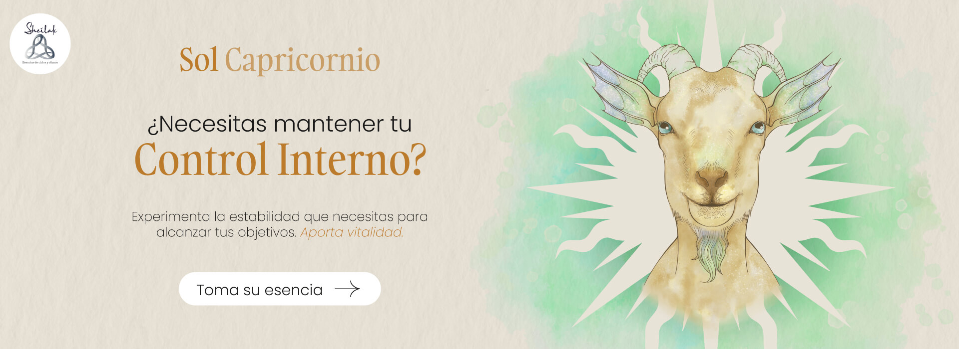 banner_web_sol capricornio